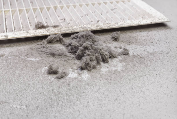 Best Air Duct Sanitizing Services  in Warren Af, WY