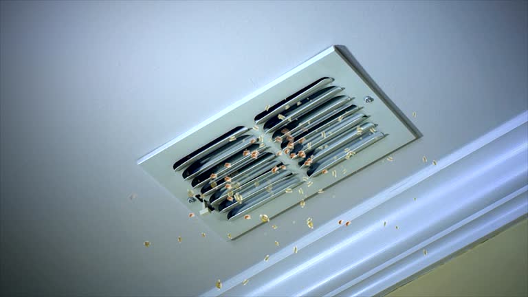 Best Air Duct Cleaning Company Near Me  in Warren Af, WY