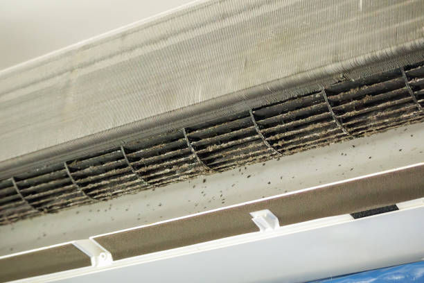 Best Local Air Duct Cleaning Services  in Warren Af, WY